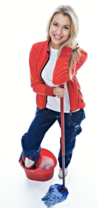 Professional Home Cleaning FL